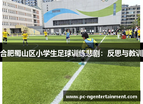 合肥蜀山区小学生足球训练悲剧：反思与教训