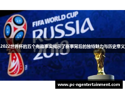 2022世界杯的五个有趣事实揭示了赛事背后的独特魅力与历史意义