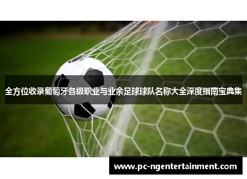 全方位收录葡萄牙各级职业与业余足球球队名称大全深度指南宝典集 全方位收录葡萄牙各级职业与业余足球球队名称大全深度指南宝典集