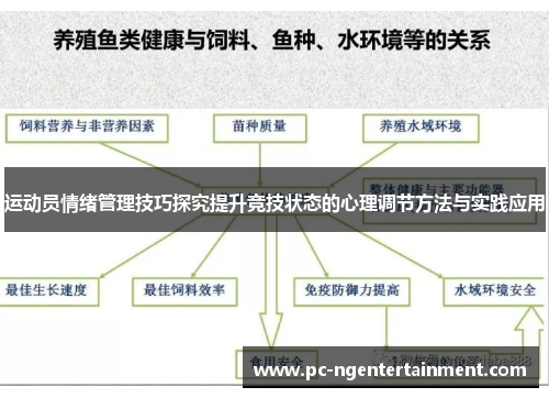 运动员情绪管理技巧探究提升竞技状态的心理调节方法与实践应用