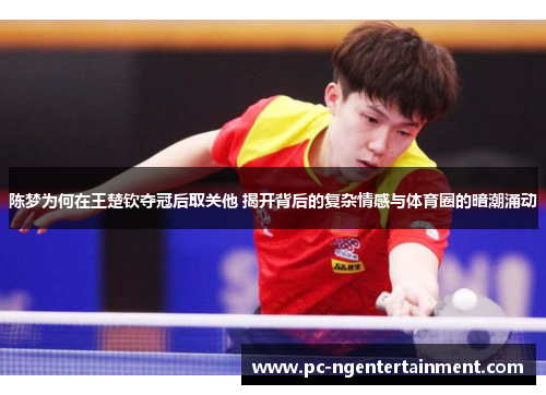 陈梦为何在王楚钦夺冠后取关他 揭开背后的复杂情感与体育圈的暗潮涌动